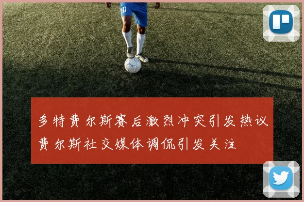 多特费尔斯赛后激烈冲突引发热议费尔斯社交媒体调侃引发关注
